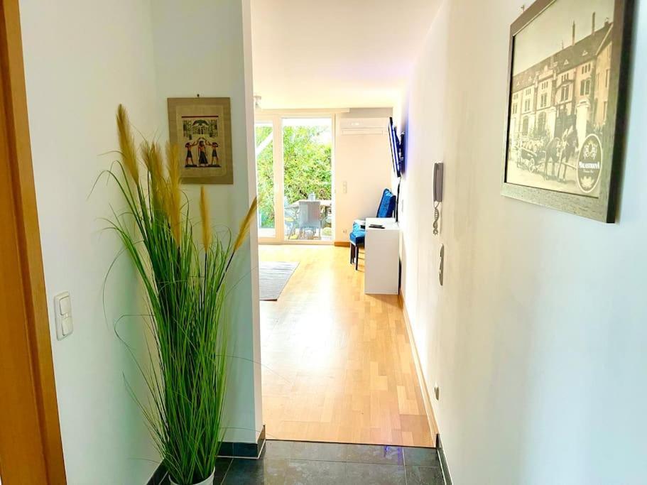 Schoene Wohnung Mit Eigenen Eingang Und Terrasse Gosseling Luaran gambar